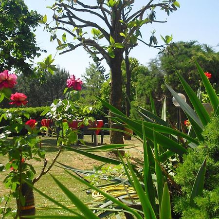 Park Hotel Galileo Reggello Luaran gambar