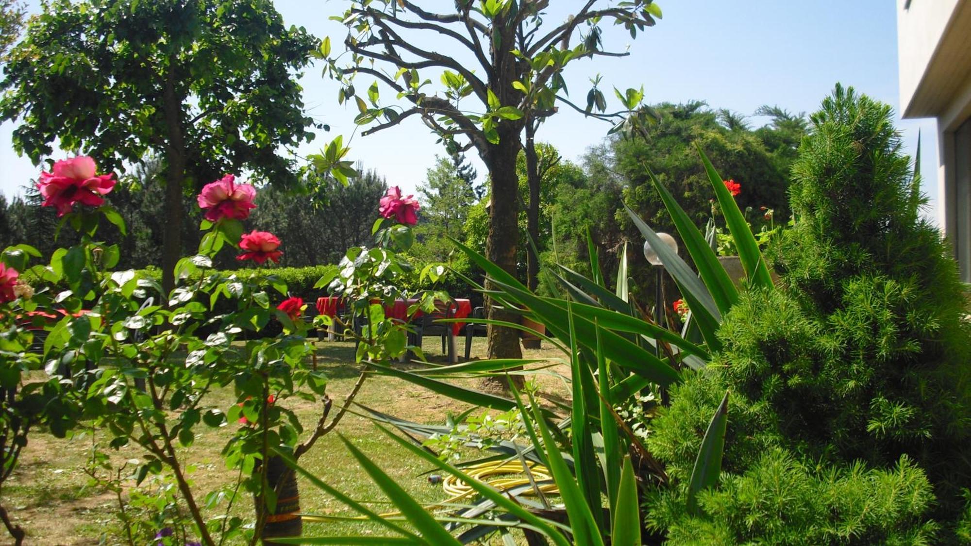 Park Hotel Galileo Reggello Luaran gambar